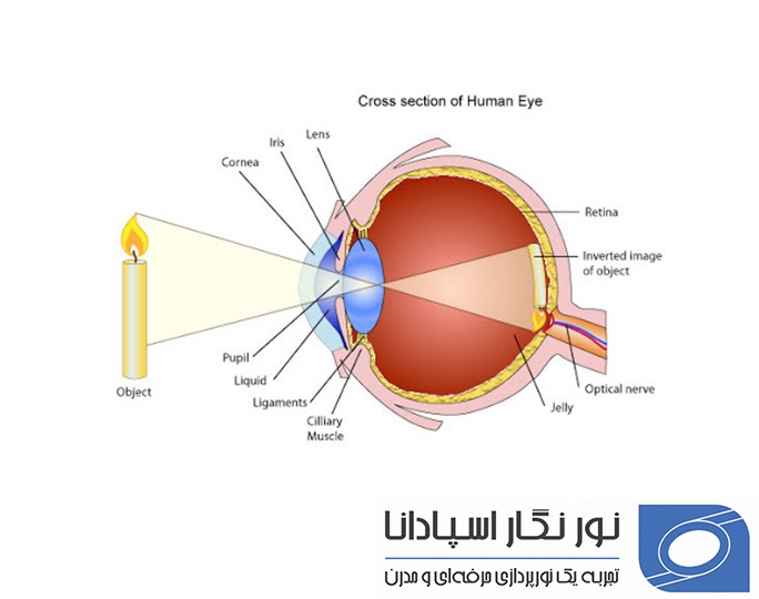 تطابق چشم چیست؟ چرا مواد فوتوشیمیایی چشم با تاخیر زمانی...